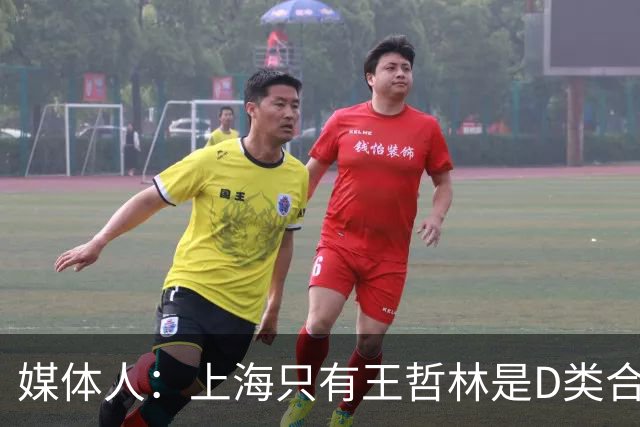 媒体人：上海只有王哲林是D类合同 剩余两个顶薪或给张镇麟李弘权