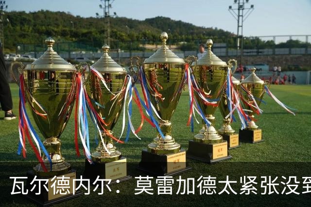 瓦尔德内尔：莫雷加德太紧张没到最佳状态，丢掉第一局太不应该